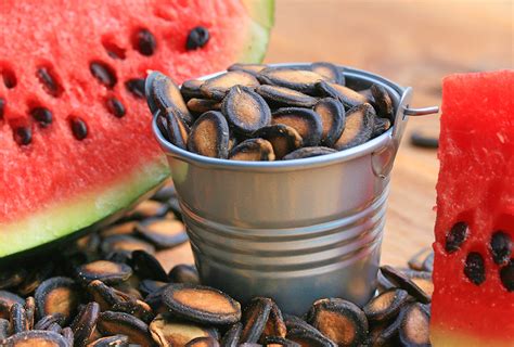 Do Watermelon Seeds Have Protein? And Why Do They Taste Like Nostalgia?