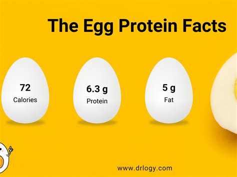 How Many Grams of Protein in a Jumbo Egg: And Why Do Chickens Dream of Protein-Packed Omelettes?