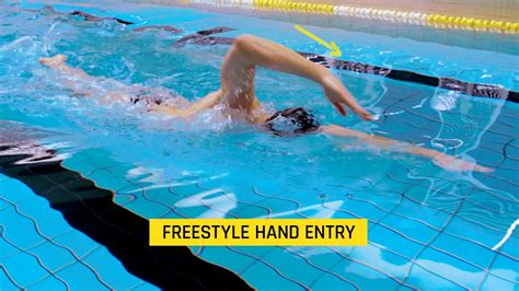 How to Swim Freestyle: Unlocking the Secrets of the Ocean's Dance