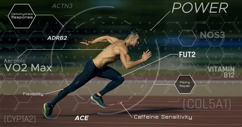 Is Running Speed Genetic? Exploring the Role of Genetics in Athletic Performance