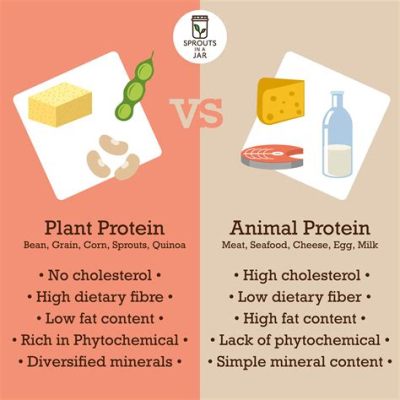 Protein can be found in both animals and vegetables, yet the debate on their nutritional impact continues to stir curiosity.